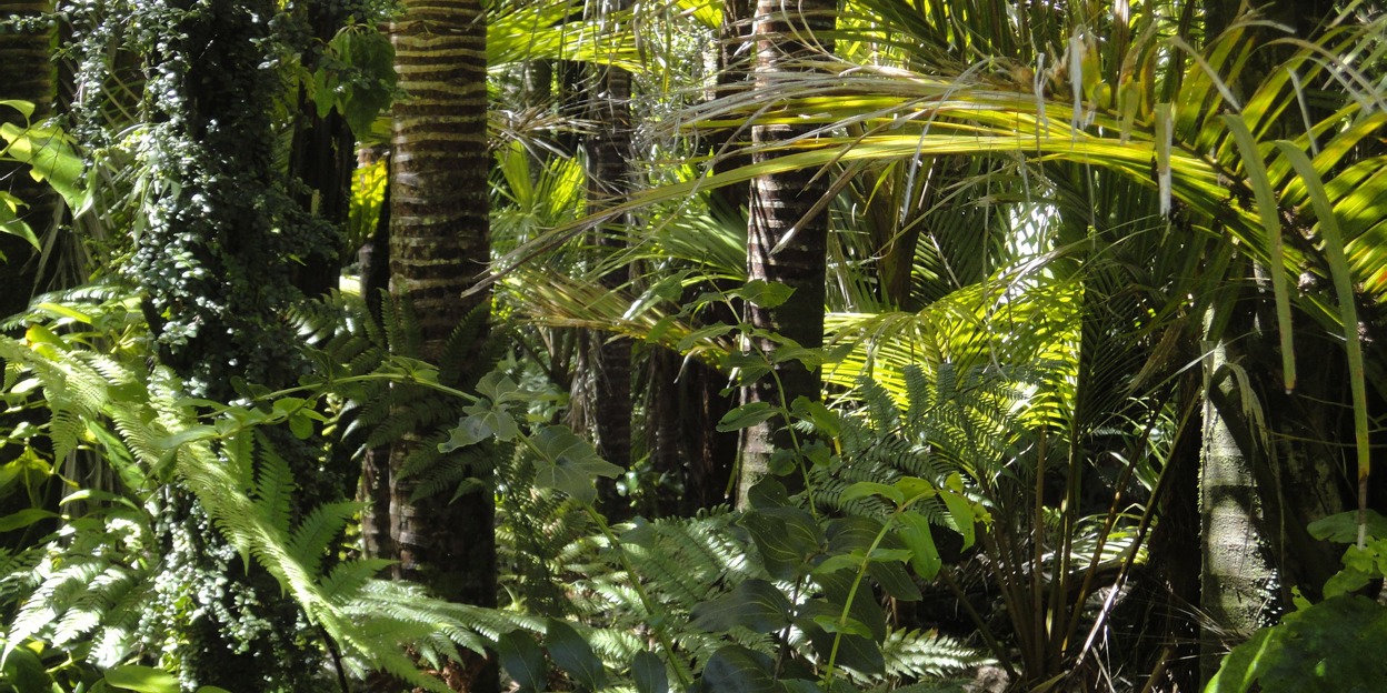 Dierentuinen en natuurbescherming