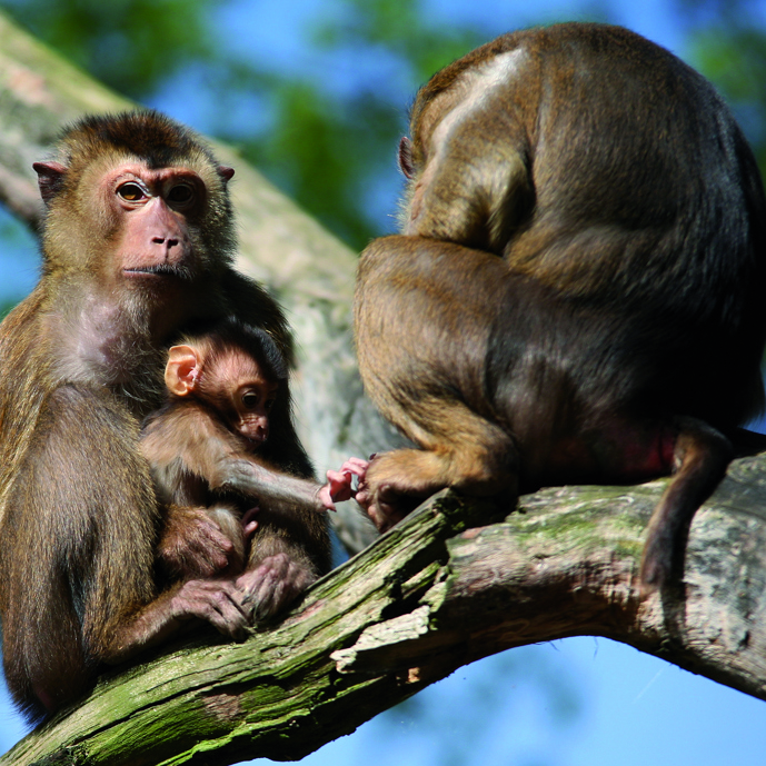 Alles goed geregeld bij de laponders!