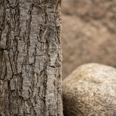 Bedreiging en bescherming