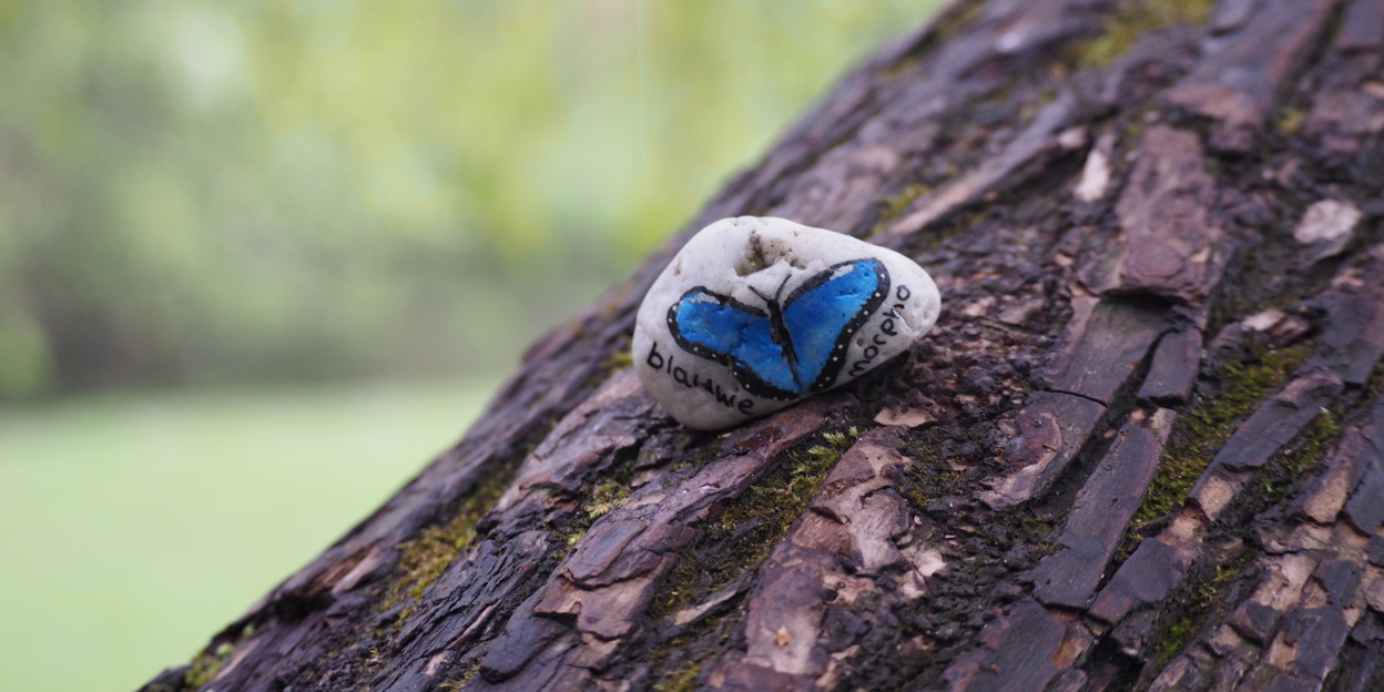 Happy Stones veroveren Gelderse steden