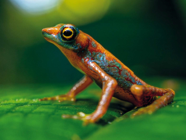 33ecce8a-49a7-4f4e-b291-ac48fb141051