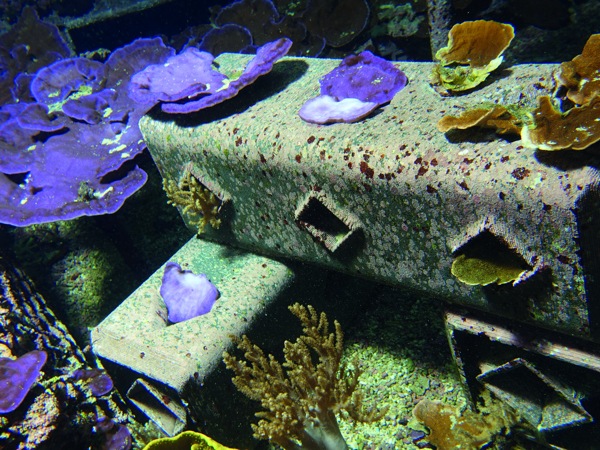 ce51cfd8-319b-42ca-b8e0-7efcc6f7af98