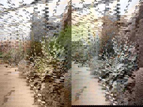 Bijzondere aanpassing aan de leefomgeving